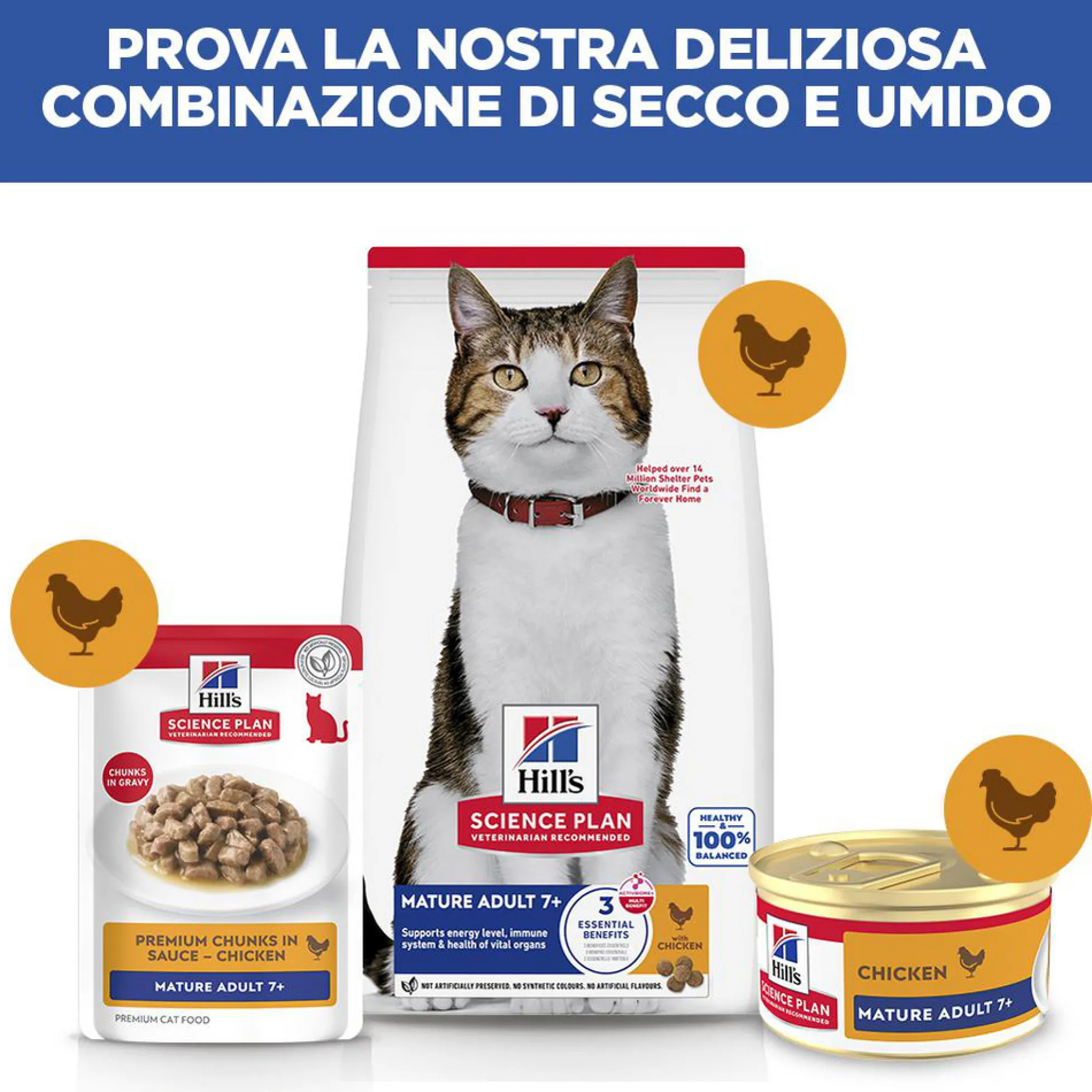 Hill's Science Plan Feline Mature Adult Premium Mousse - Pollo