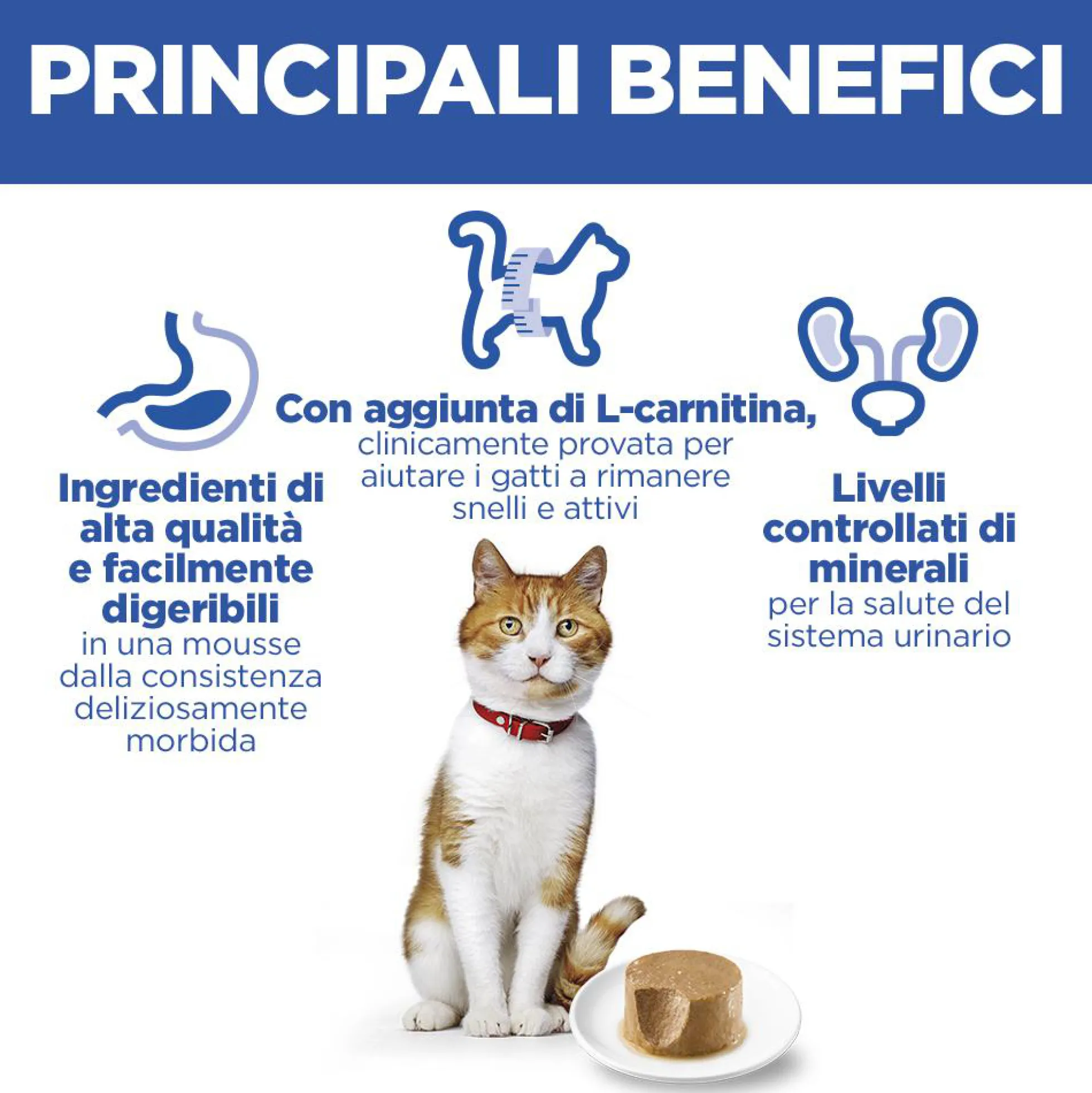Hill's Science Plan Feline Sterilised Adult Premium Mousse - Salmone