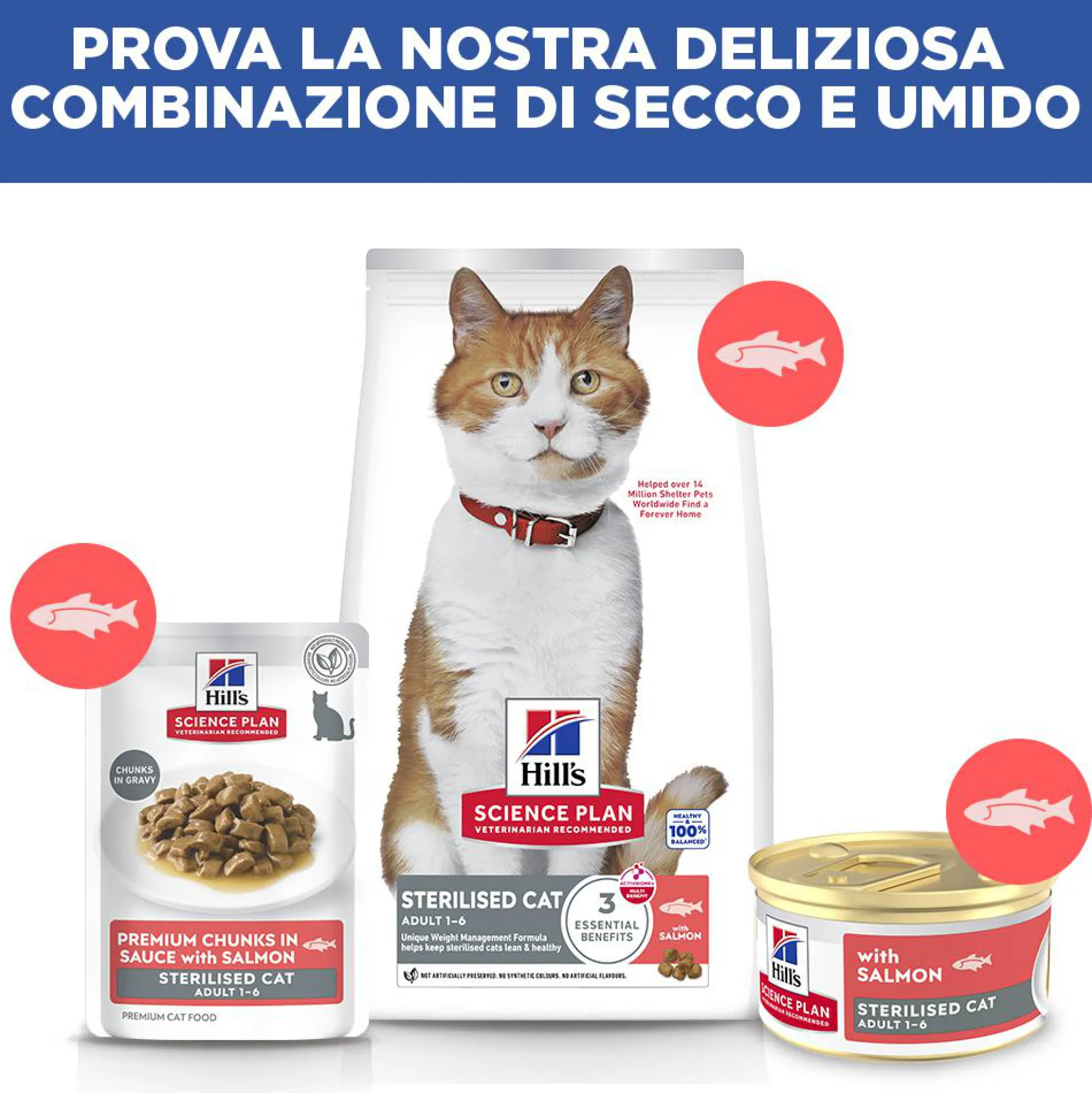 Hill's Science Plan Feline Sterilised Adult Premium Mousse - Salmone