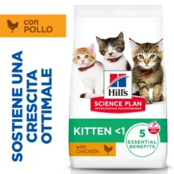 Hill's Science Plan Kitten - Pollo