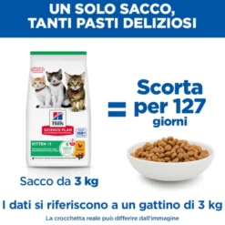 Hill's Science Plan Kitten - Pollo