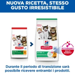 Hill's Science Plan Kitten - Pollo
