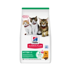 Hill's Science Plan Kitten - Pollo