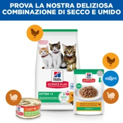 Hill's Science Plan Kitten - Pollo