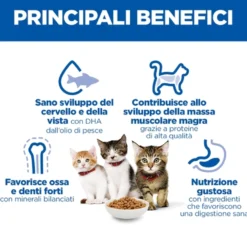 Hill's Science Plan Kitten - Pollo