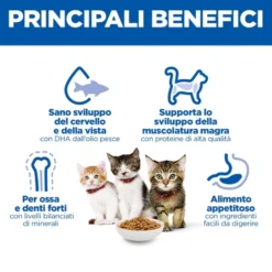 Hill's Science Plan - Kitten - Salmone