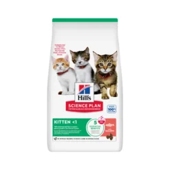 Hill's Science Plan - Kitten - Salmone