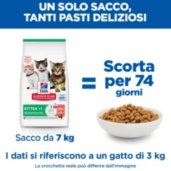 Hill's Science Plan - Kitten - Salmone