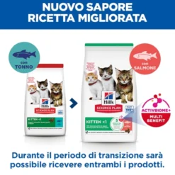 Hill's Science Plan - Kitten - Salmone