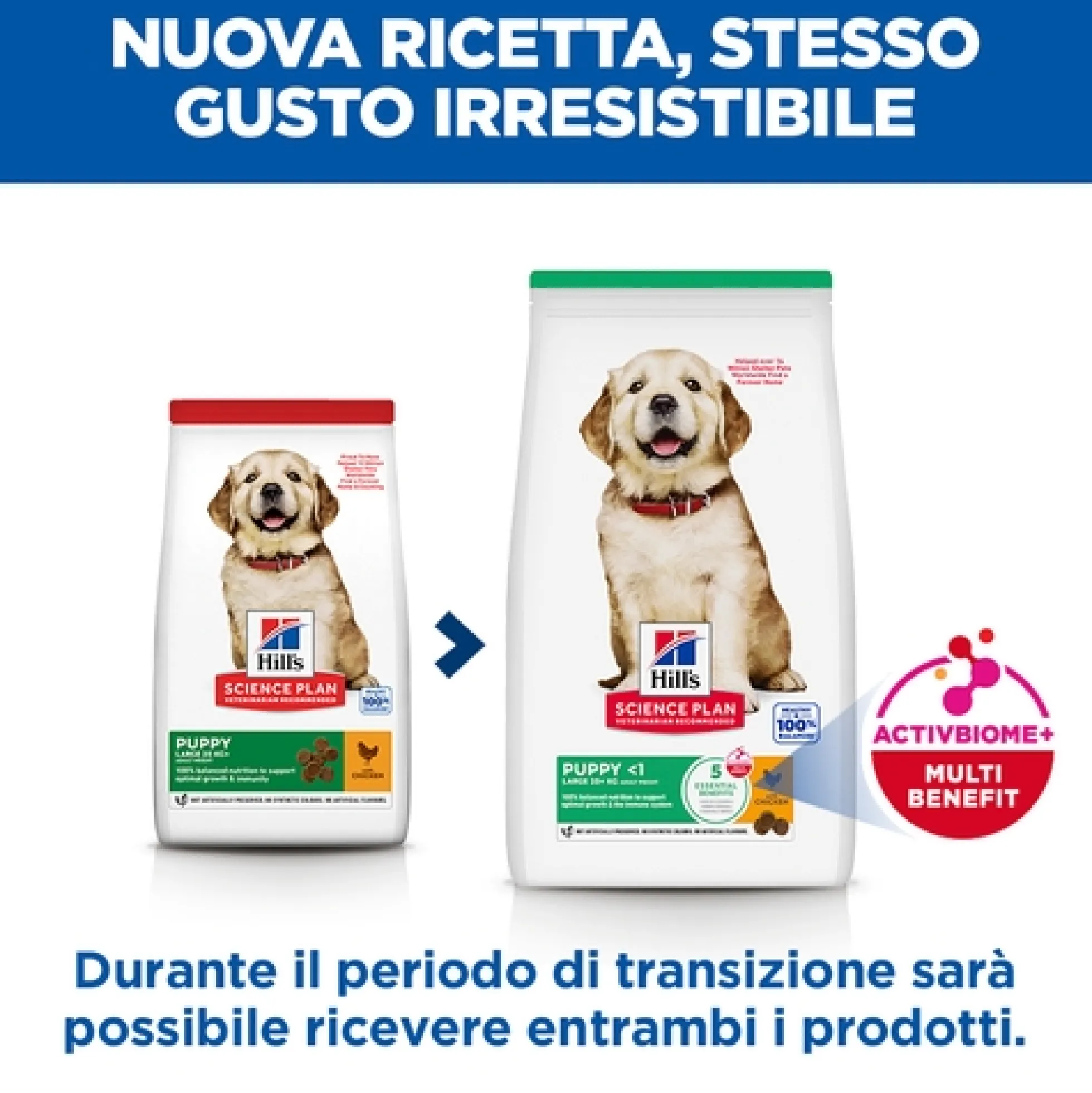 Hill's Science Plan - Large Breed - Puppy - Pollo