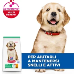 Hill's Science Plan - Large Breed - Puppy - Pollo