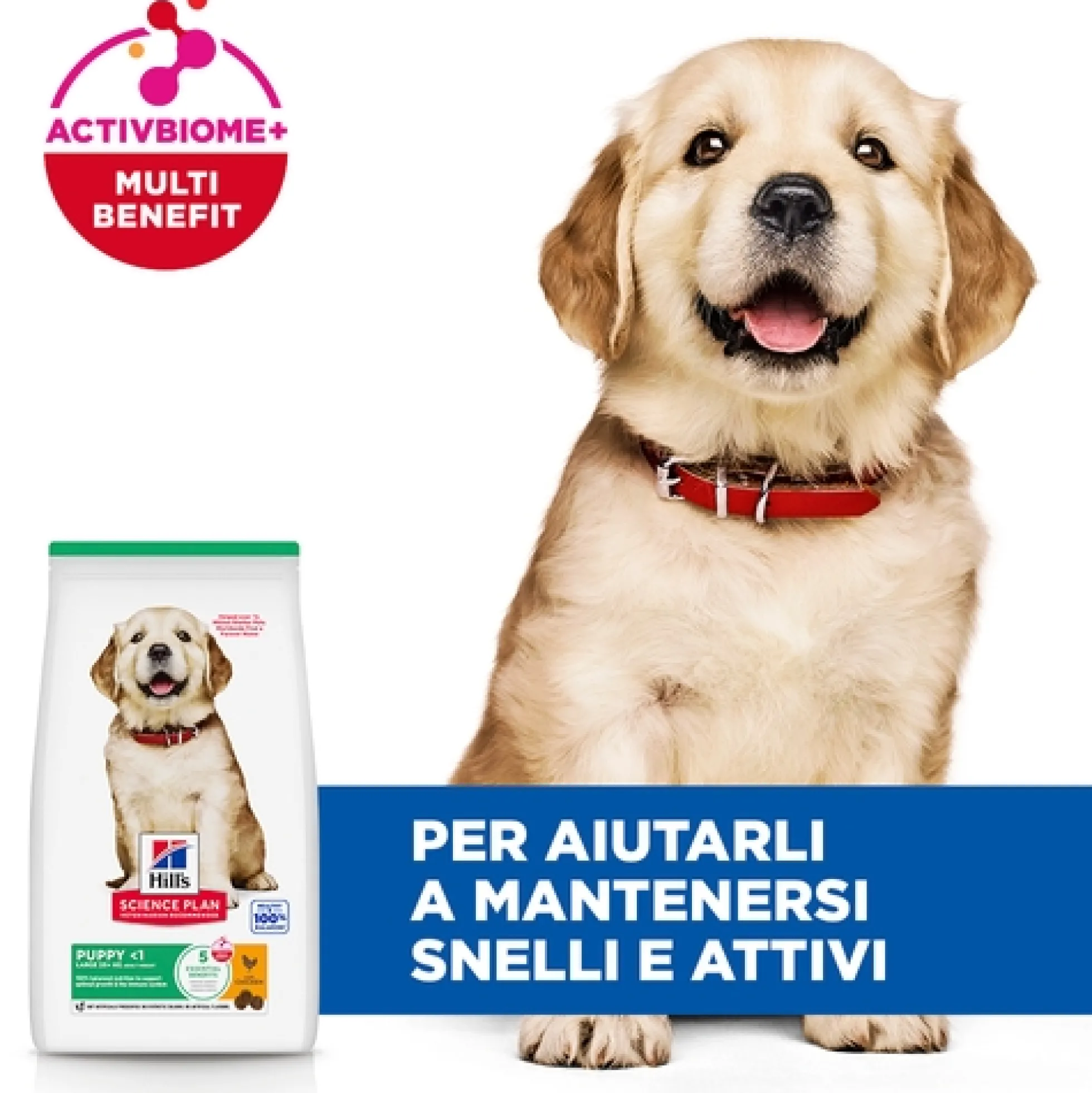 Hill's Science Plan - Large Breed - Puppy - Pollo