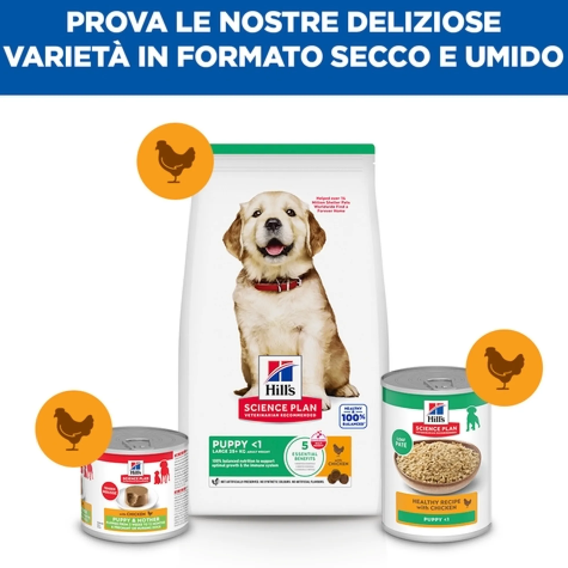 Hill's Science Plan - Large Breed - Puppy - Pollo