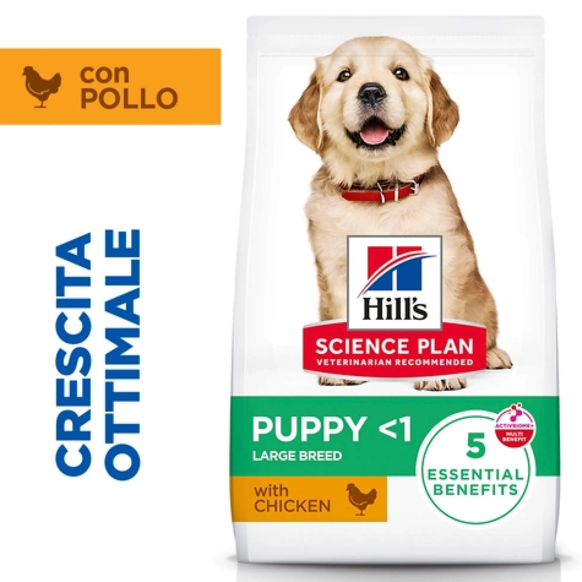 Hill's Science Plan - Large Breed - Puppy - Pollo