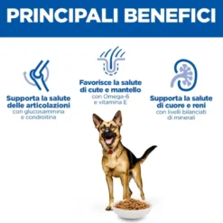 Hill's Science Plan - Large Breed - Mature Adult 6+ - Pollo