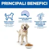 Hill's Science Plan - Large Breed - Adult - Light - Pollo