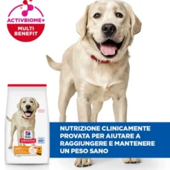 Hill's Science Plan - Large Breed - Adult - Light - Pollo