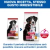 Hill's Science Plan - Large Breed - Adult - Pollo