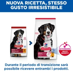 Hill's Science Plan - Large Breed - Adult - Pollo