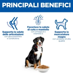 Hill's Science Plan - Large Breed - Adult - Pollo
