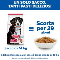 Hill's Science Plan Large Breed - Adult - Agnello e Riso