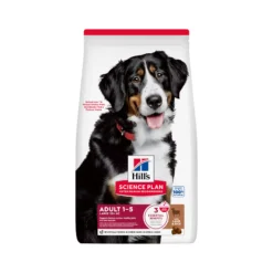 Hill's Science Plan Large Breed - Adult - Agnello e Riso