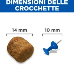 Hill's Science Plan Large Breed - Adult - Agnello e Riso