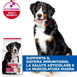Hill's Science Plan Large Breed - Adult - Agnello e Riso