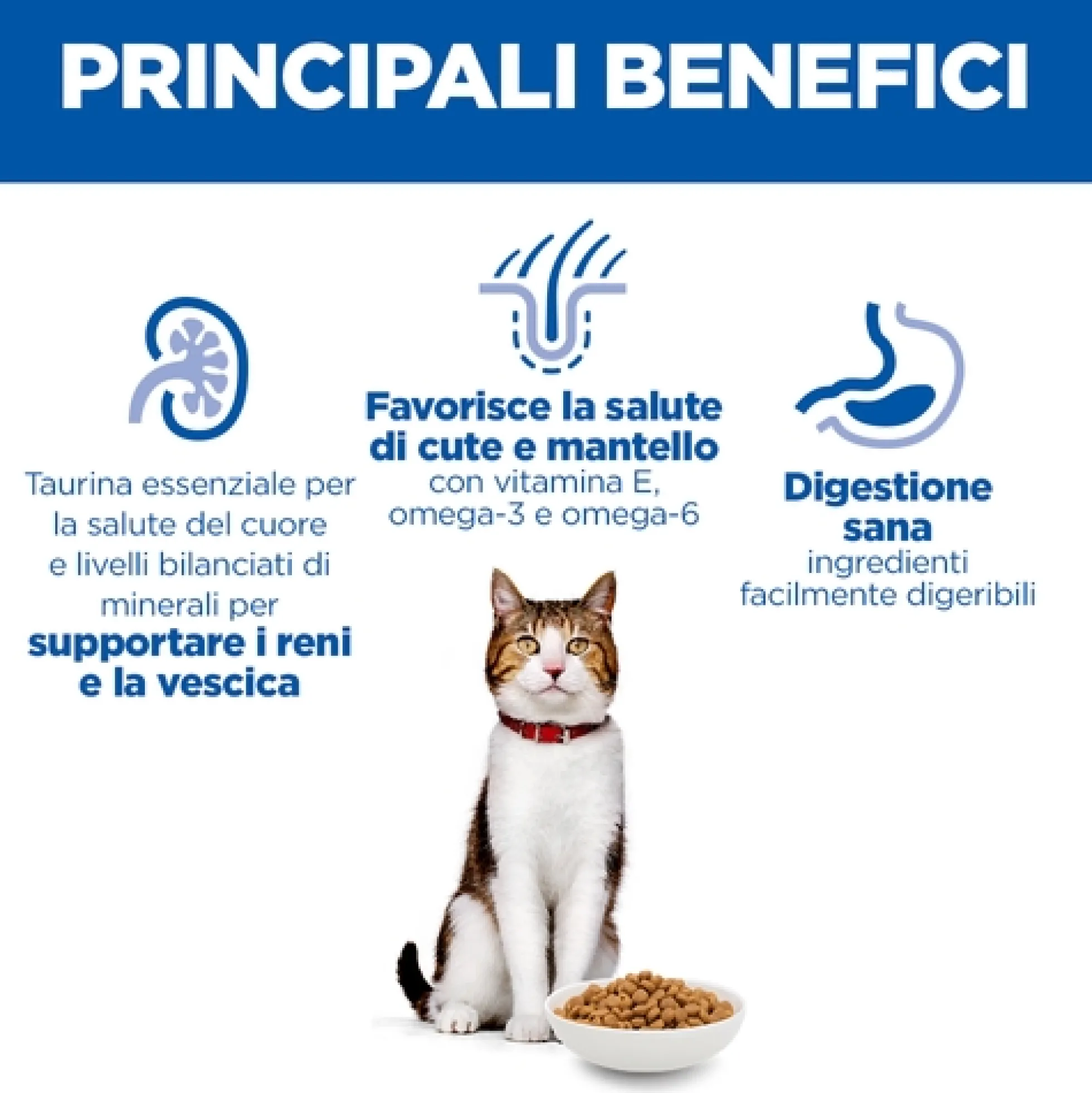 Hill's Science Plan Mature Adult 7+ - Pollo