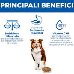 Hill's Science Plan - Mature Adult - Spezzatino - Pollo
