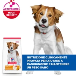 Hill's Science Plan - Medium - Adult - Light - Pollo