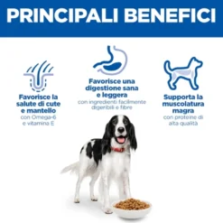Hill's Science Plan - Medium - Adult - Pollo