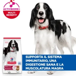 Hill's Science Plan Medium - Adult - Agnello e Riso