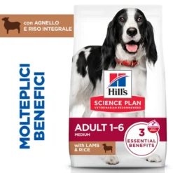 Hill's Science Plan Medium - Adult - Agnello e Riso