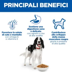 Hill's Science Plan Medium - Adult - Agnello e Riso