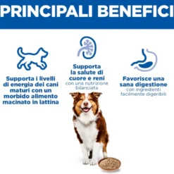 Hill's Science Plan - Medium - Mature/Adult 7+ - Pollo - Lattina
