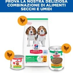 Hill's Science Plan - Medium - Puppy - Pollo - Lattina