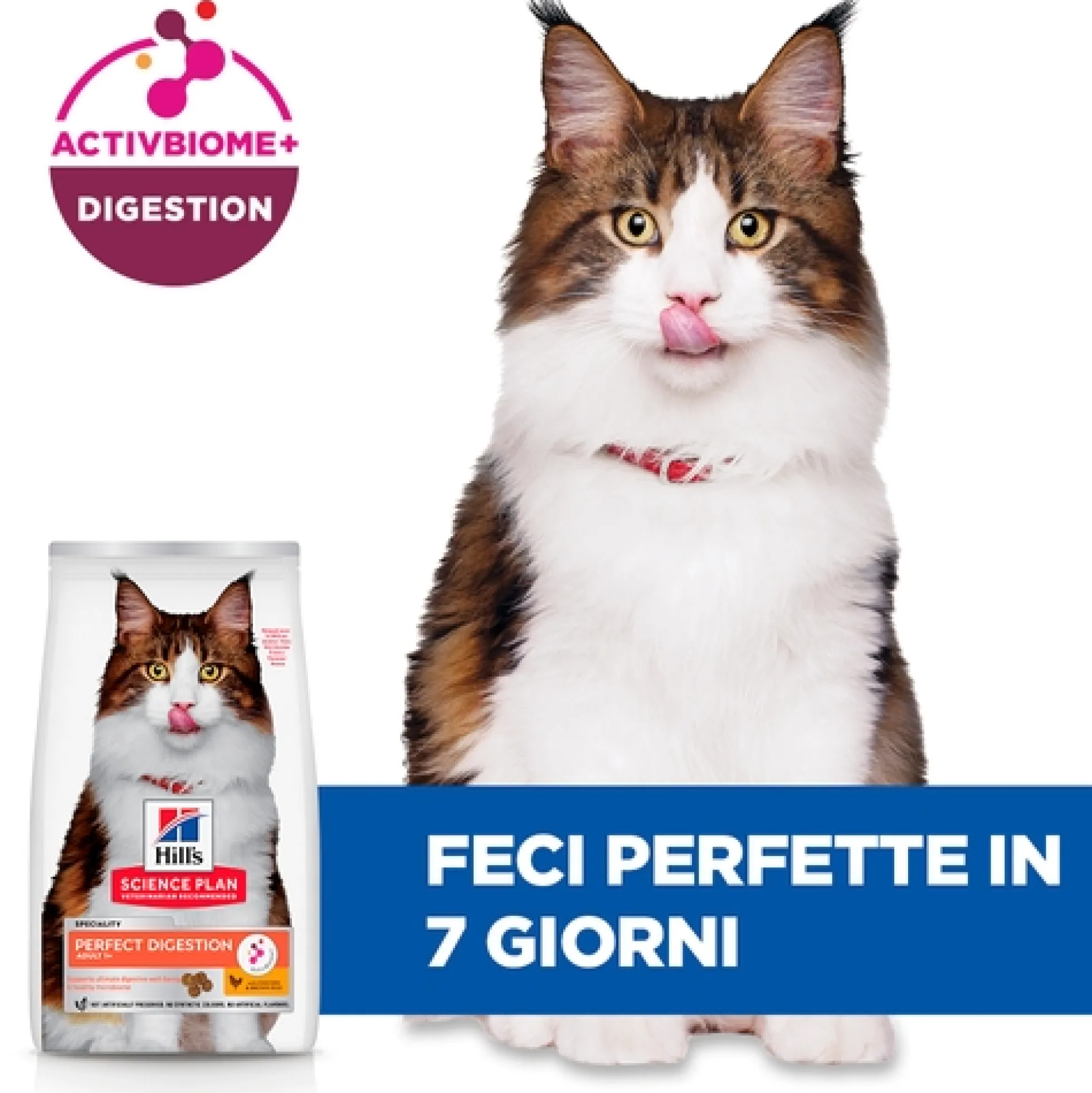 Hill's Science Plan Perfect Digestion - Adult 1+ - Pollo e Riso Integrale