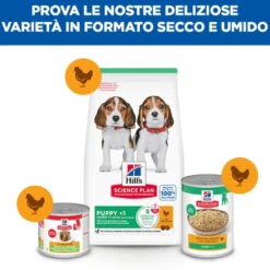 Hill's Science Plan - Puppy - Medium - Pollo