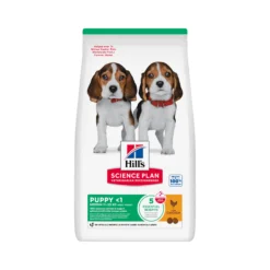 Hill's Science Plan - Puppy - Medium - Pollo