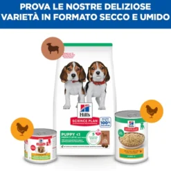 Hill's Science Plan - Puppy - Medium - Agnello e Riso