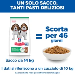 Hill's Science Plan - Puppy - Medium - Agnello e Riso
