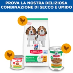 Hill's Science Plan - Puppy - Stufato - Pollo