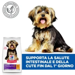 Hill's Science Plan Small & Mini - Sensitive Stomach & Skin Adult - Pollo