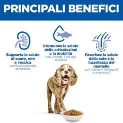 Hill's Science Plan Small & Mini - Senior 11+ - Pollo