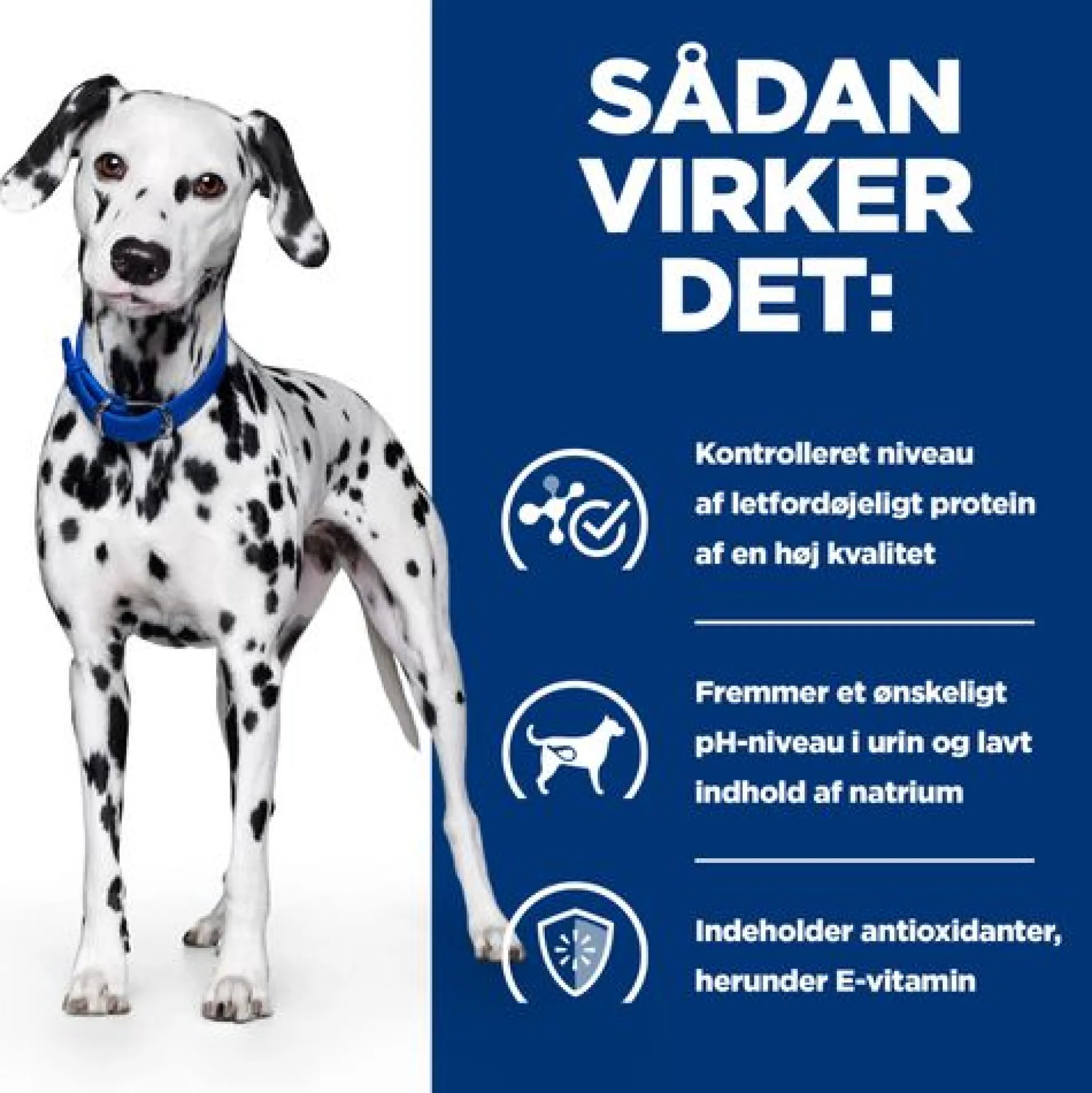 Hill's u/d - Urinary Care - Prescription Diet - Cani