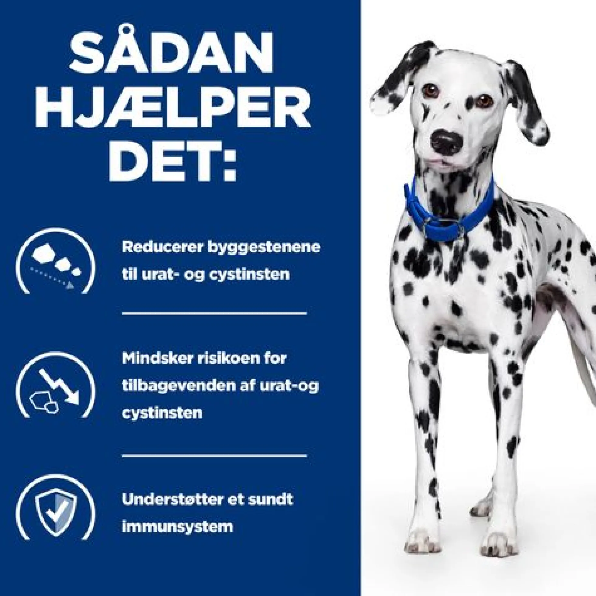Hill's u/d - Urinary Care - Prescription Diet - Cani