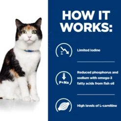 Hill's y/d Thyroid Care - Prescription Diet - Gatto - Lattina