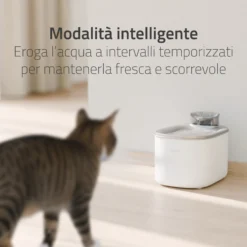 Hombli Smart Fontana per Bere