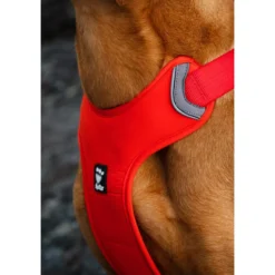 Hurtta Weekend Warrior Eco Harness